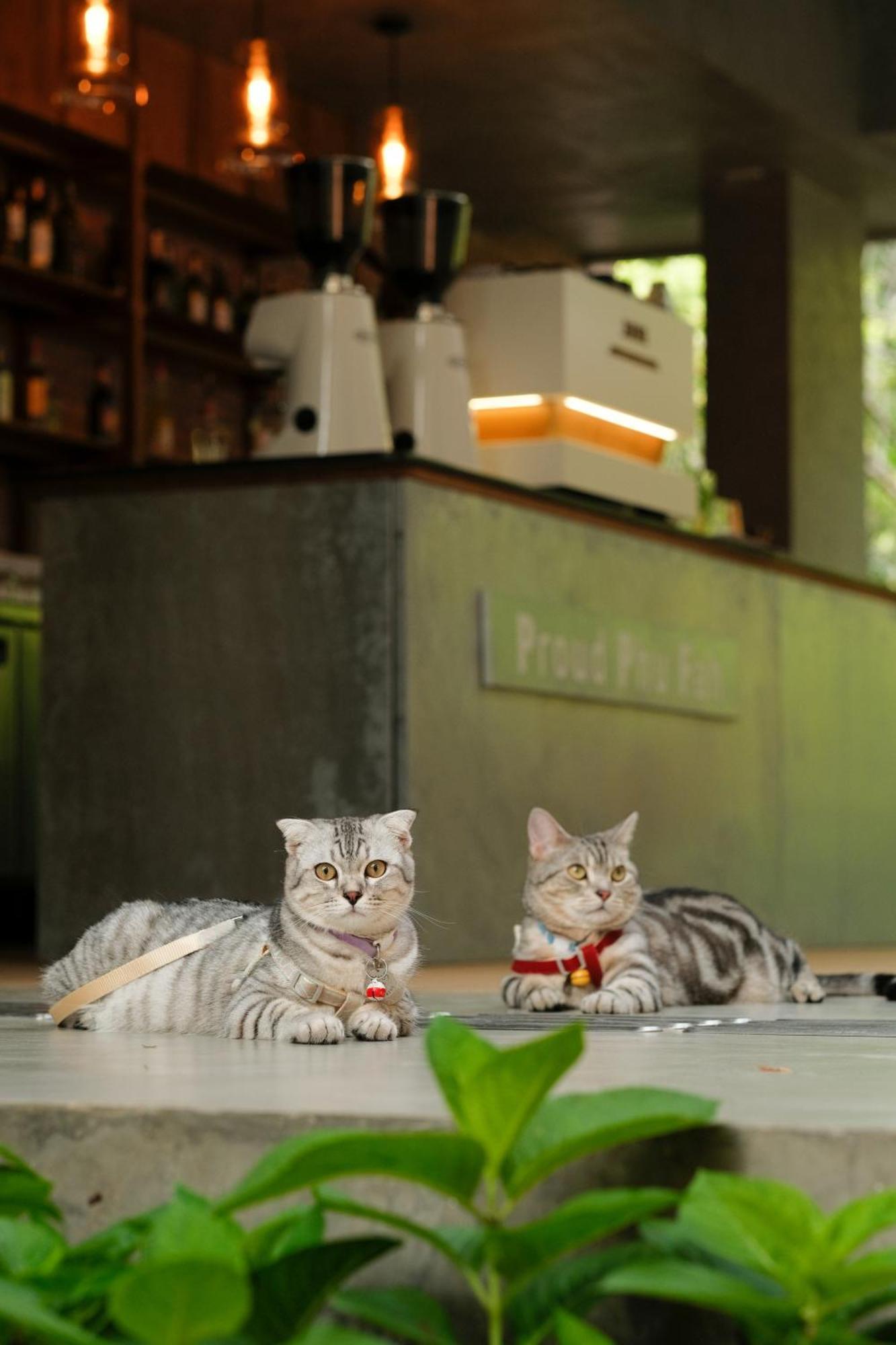 Hotel Proud Phu Fah Muang Chiang Mai Zewnętrze zdjęcie